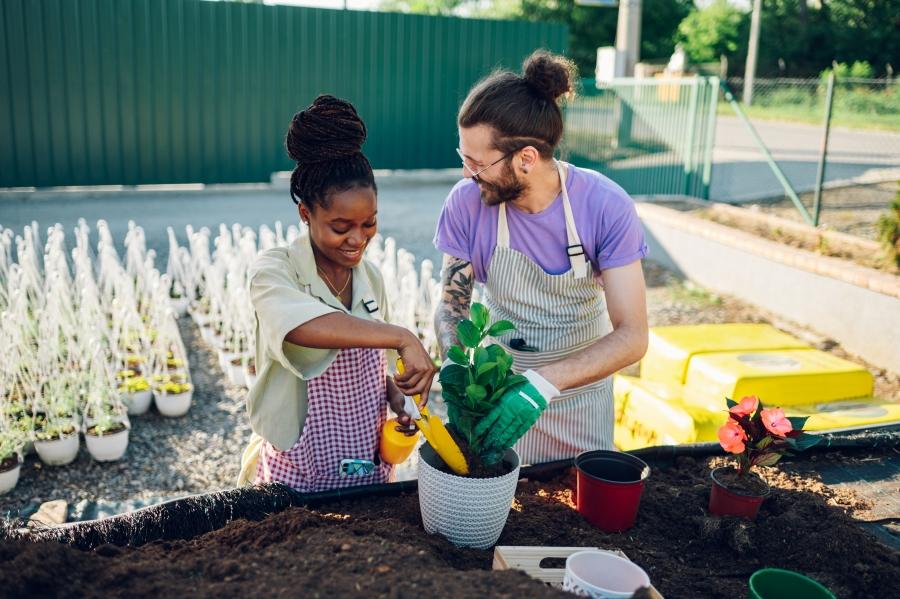 Jardinage en juin : un moment idéal pour cultiver le bien-être, la nature… et l’économie locale