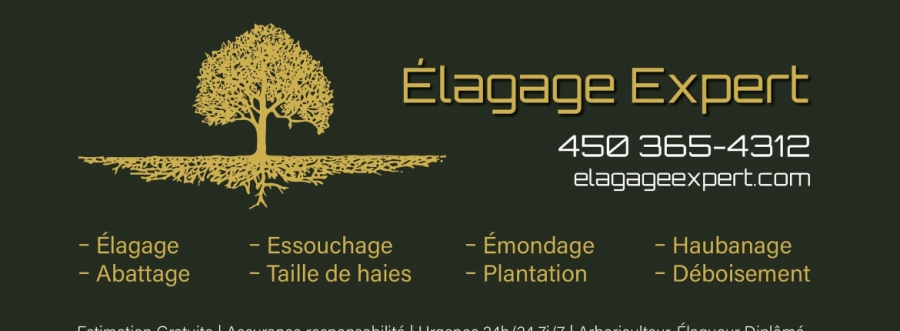 Élagage Expert